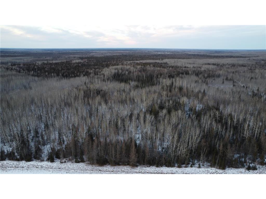 TBD County Road 77 Littlefork MN 56653 6489331 image1