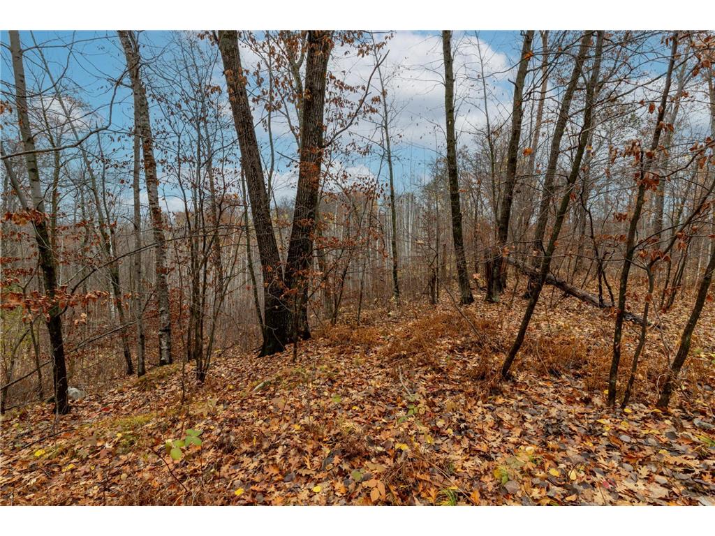 TBD County Road 77 Nisswa MN 56468 6812852 image10