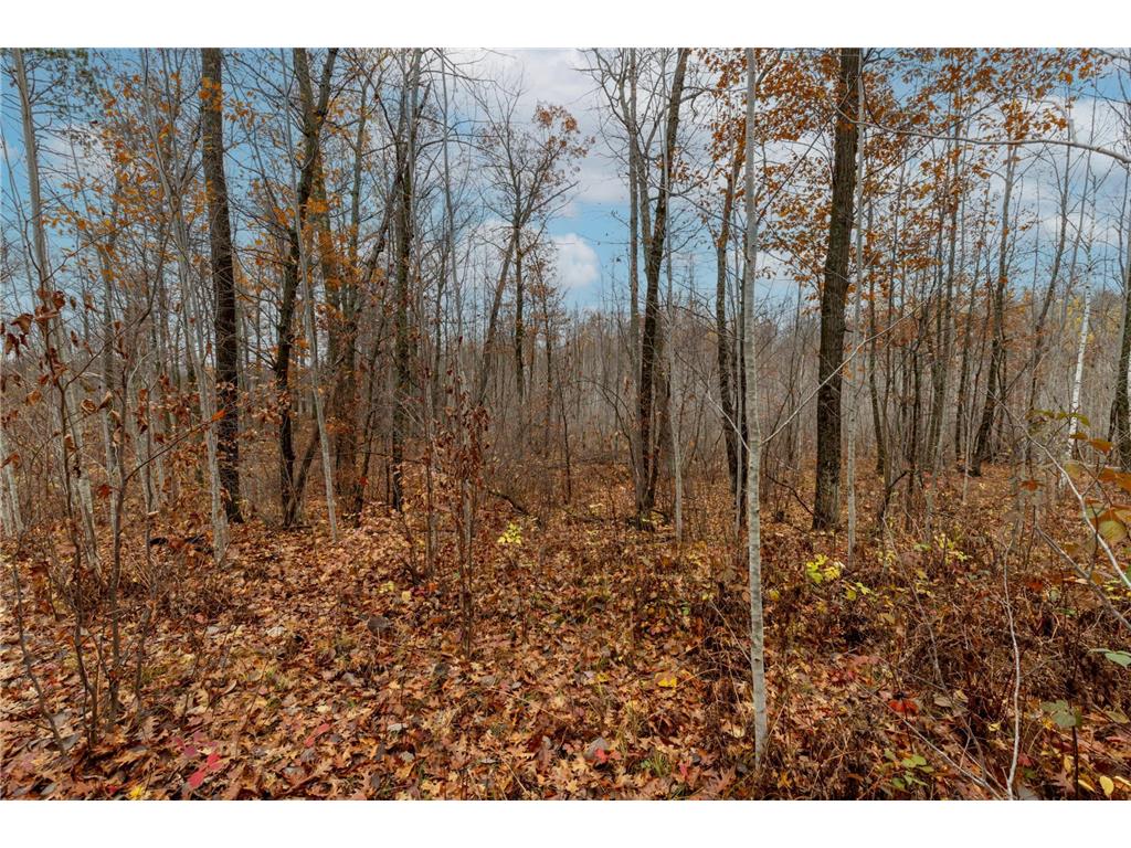 TBD County Road 77 Nisswa MN 56468 6812852 image12