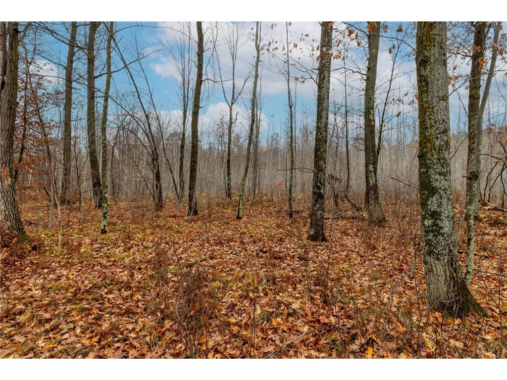 TBD County Road 77 Nisswa MN 56468 6812852 image13