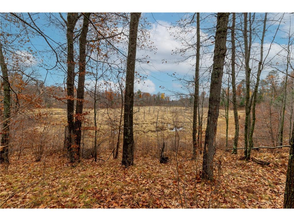 TBD County Road 77 Nisswa MN 56468 6812852 image14
