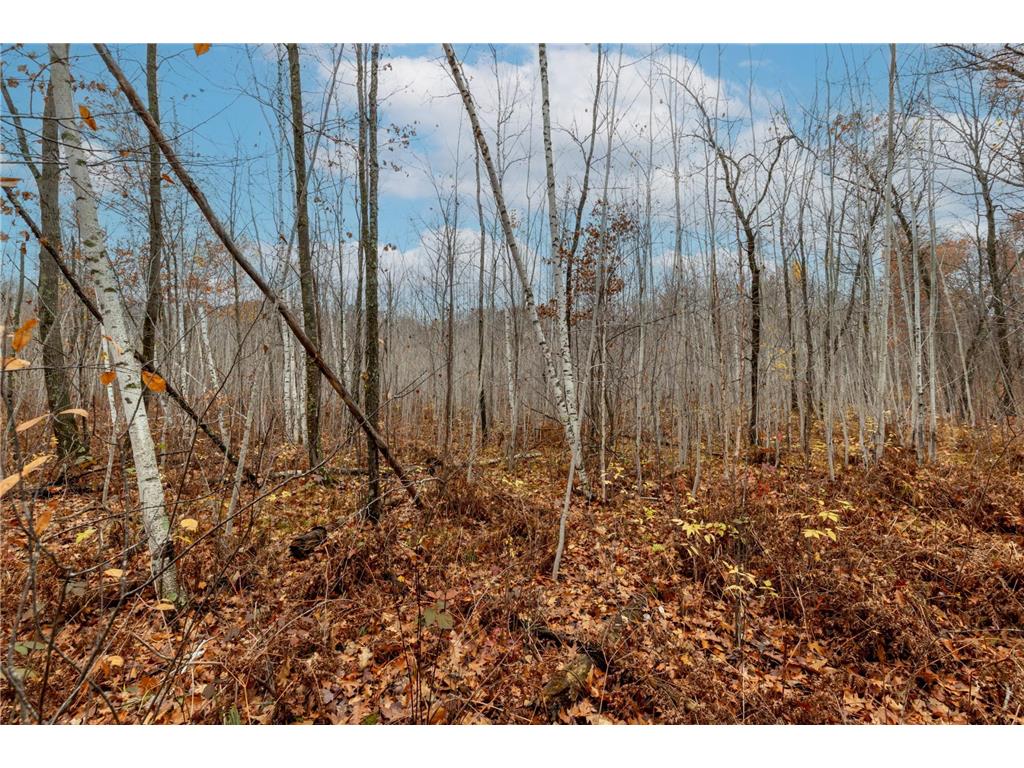 TBD County Road 77 Nisswa MN 56468 6812852 image15