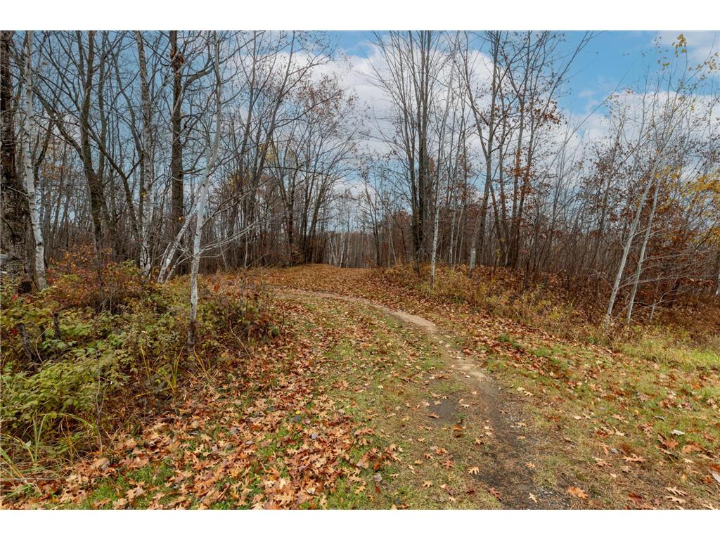 TBD County Road 77 Nisswa MN 56468 6812852 image17