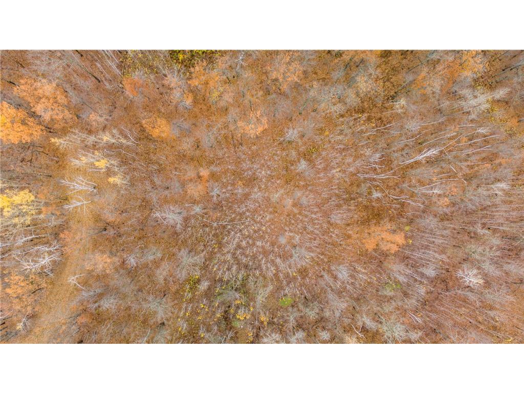 TBD County Road 77 Nisswa MN 56468 6812852 image4