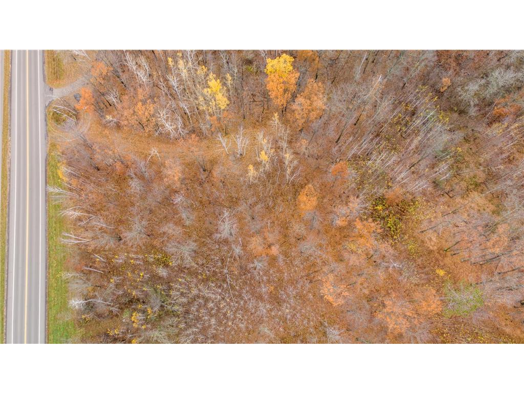 TBD County Road 77 Nisswa MN 56468 6812852 image5