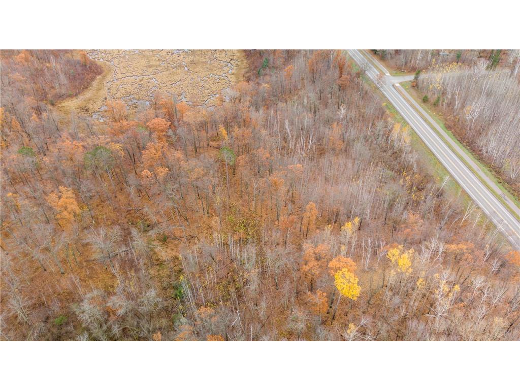 TBD County Road 77 Nisswa MN 56468 6812852 image6