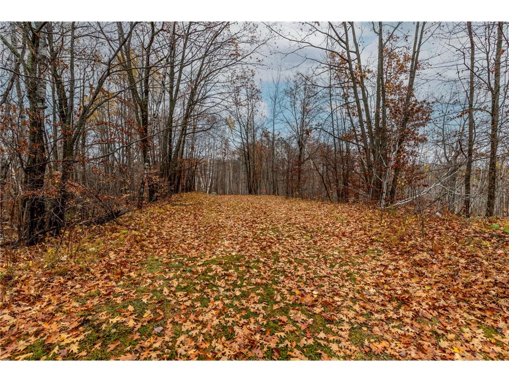 TBD County Road 77 Nisswa MN 56468 6812852 image8