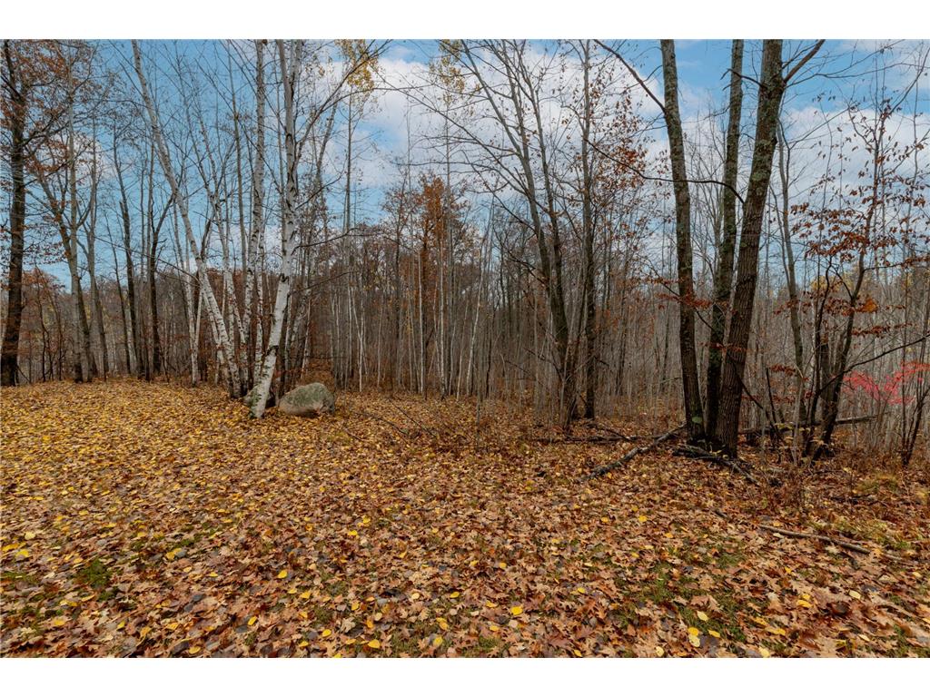 TBD County Road 77 Nisswa MN 56468 6812852 image9