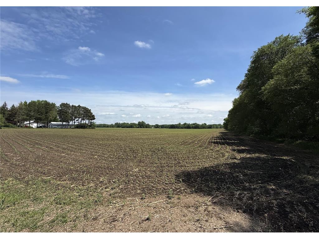 TBD County Road 8 Minden Twp MN 56379 7094871 image4