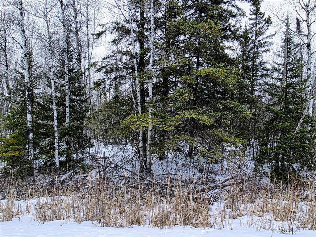 TBD County Road 91 International Falls MN 56649 7039036 image1