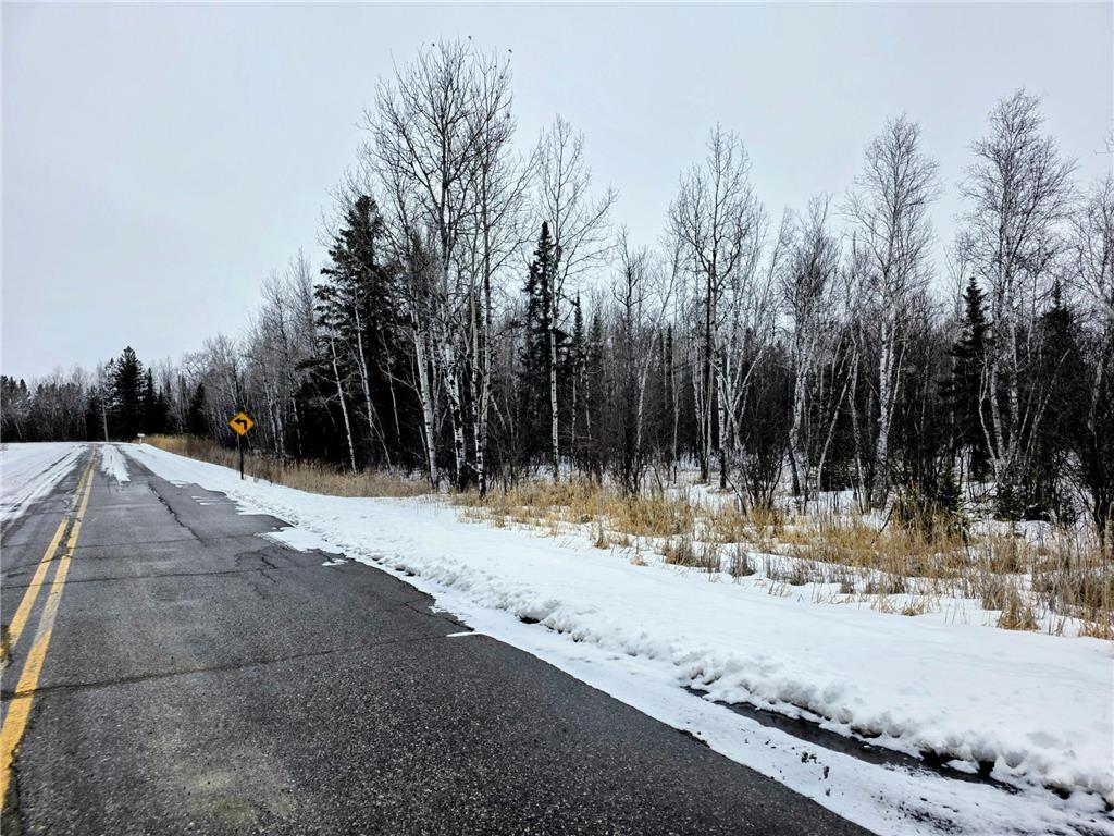 TBD County Road 91 International Falls MN 56649 7039036 image2