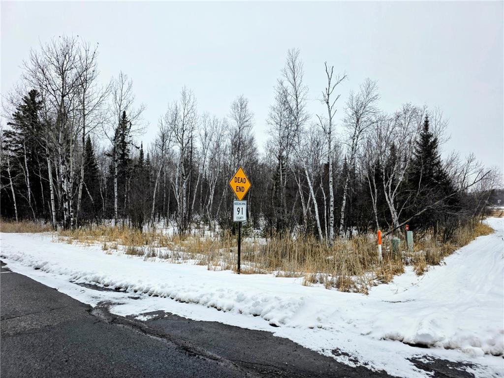 TBD County Road 91 International Falls MN 56649 7039036 image3