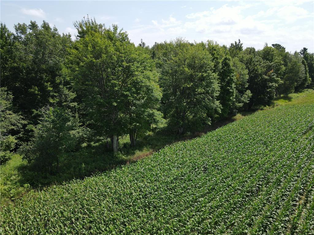 TBD County Road M Ogema Twp WI 54459 6770232 image10