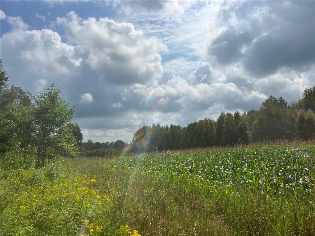 TBD County Road M Ogema Twp WI 54459 6770232 image14