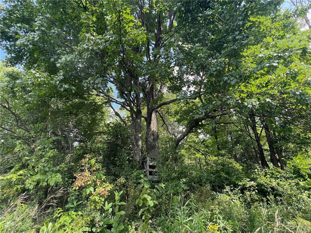 TBD County Road M Ogema Twp WI 54459 6770232 image19