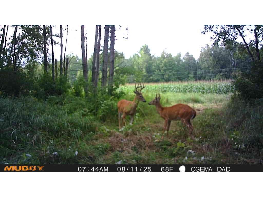 TBD County Road M Ogema Twp WI 54459 6770232 image20