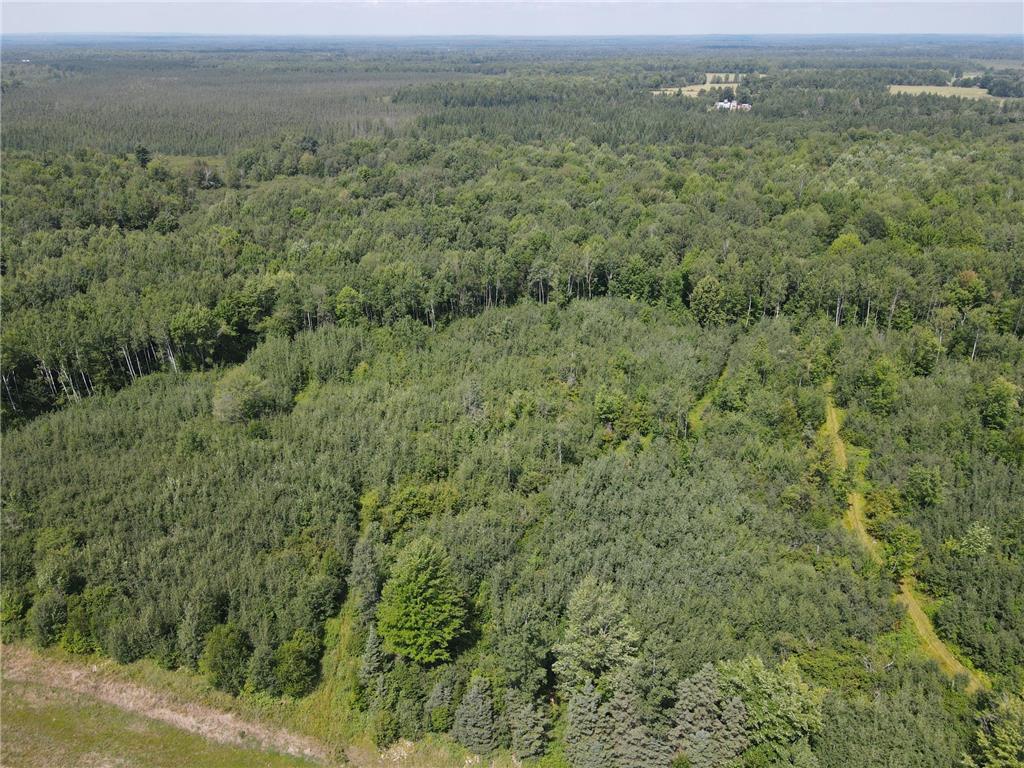 TBD County Road M Ogema Twp WI 54459 6770232 image28