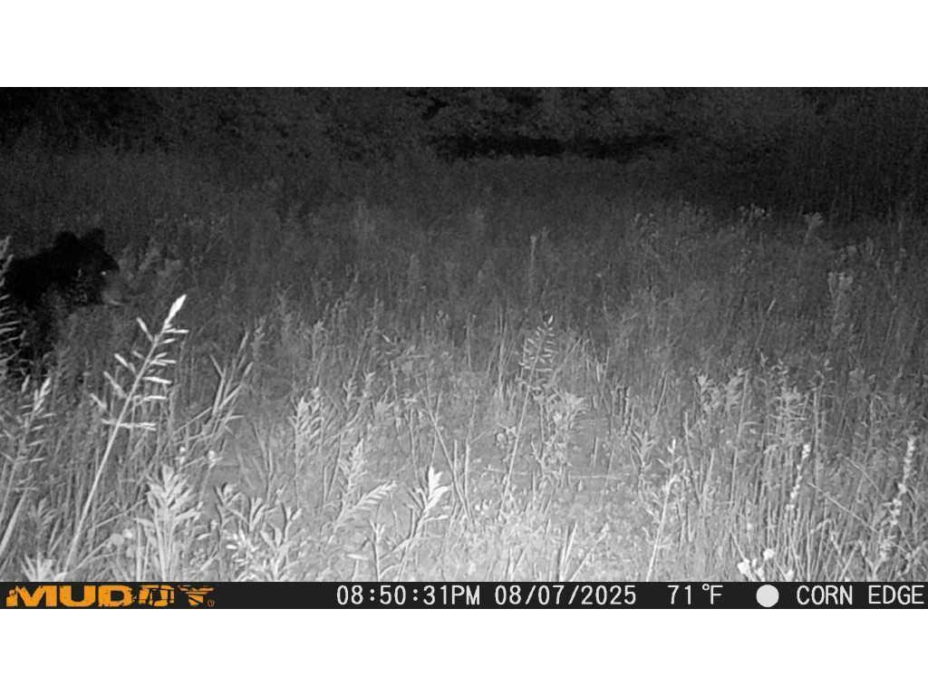 TBD County Road M Ogema Twp WI 54459 6770232 image30