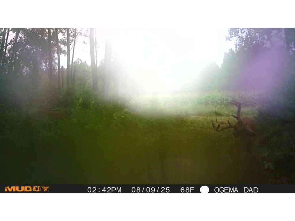 TBD County Road M Ogema Twp WI 54459 6770232 image31