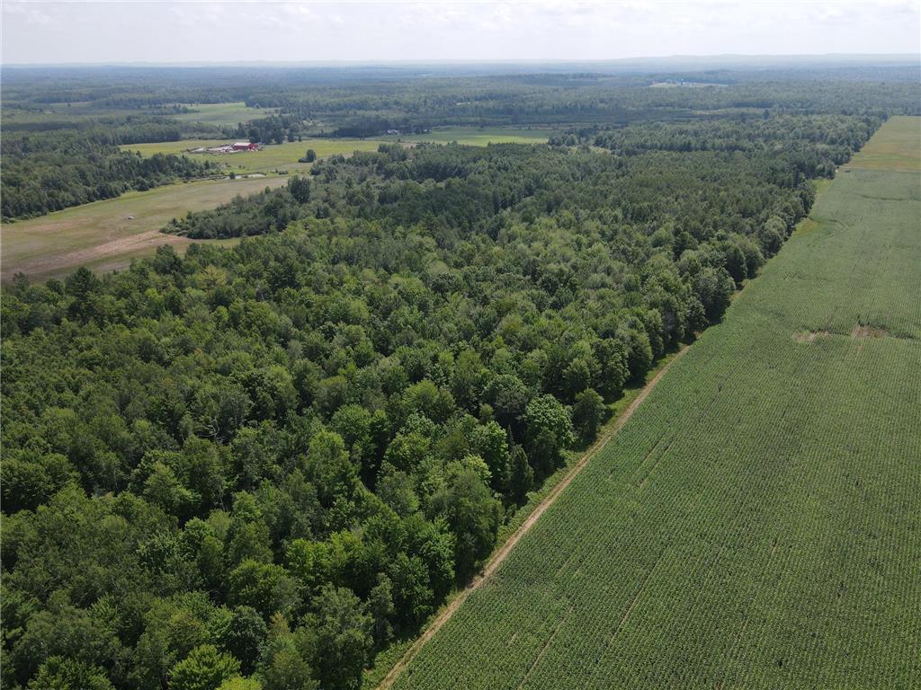 TBD County Road M Ogema Twp WI 54459 6770232 image34