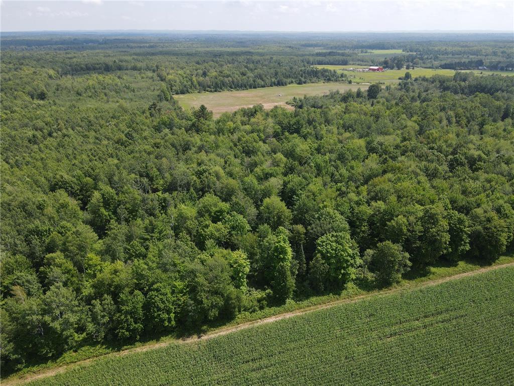 TBD County Road M Ogema Twp WI 54459 6770232 image6