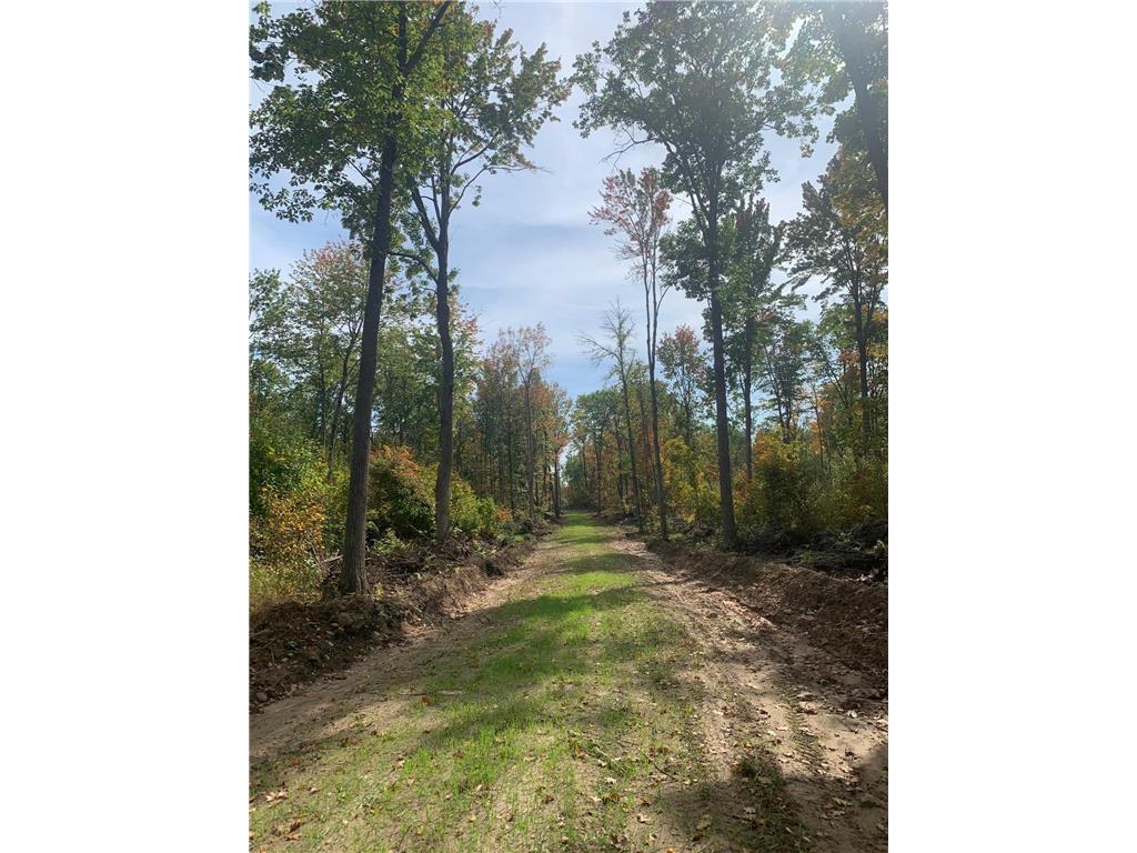 TBD County Road T 2 Dairyland WI 54830 6802288 image2