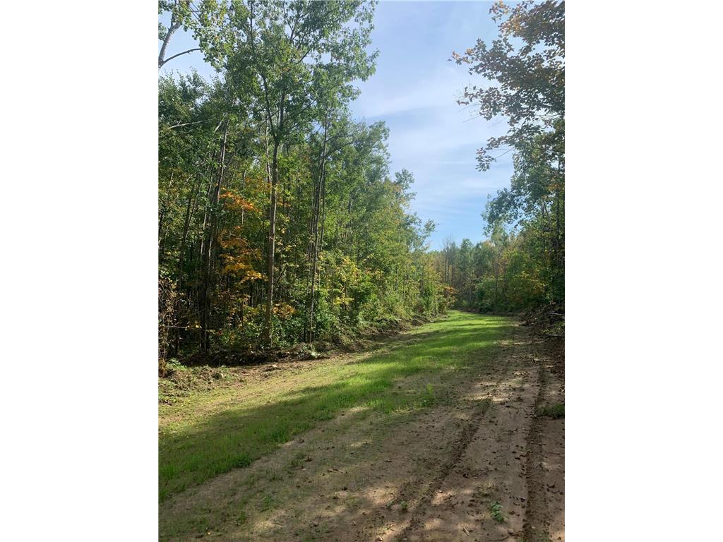 TBD County Road T 4 Dairyland WI 54830 6802279 image3