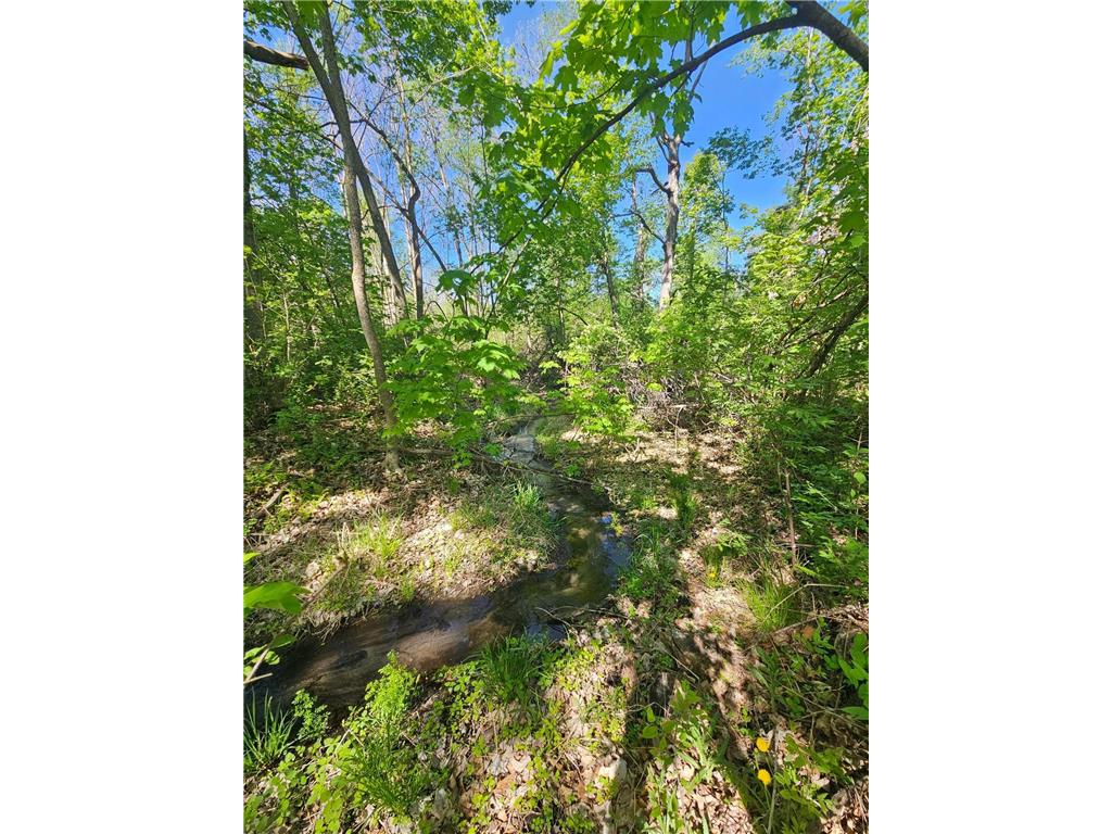 TBD Cr-13 Road Melrose MN 56336 - Little Birch Lake 6703262 image6