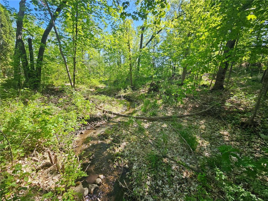 TBD Cr-13 Road Melrose MN 56336 - Little Birch Lake 6703262 image7