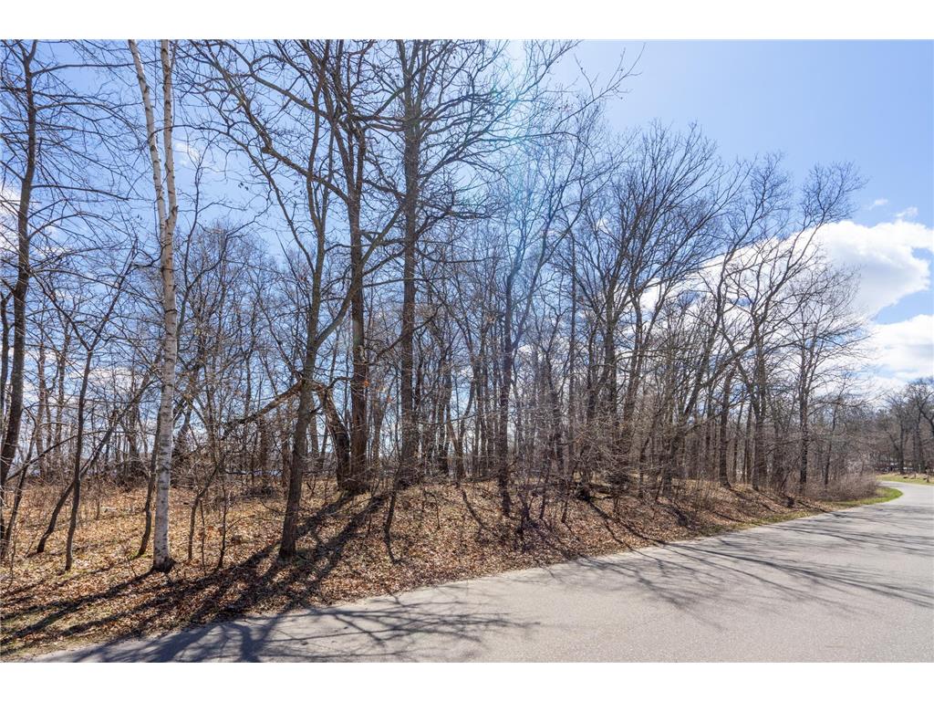 TBD Cree Bay Circle Pelican Twp MN 56472 - Pelican 7037323 image17