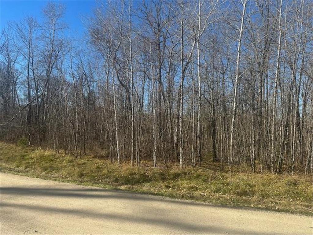 TBD Crest Court NE Turtle River Twp MN 56601 6816439 image1