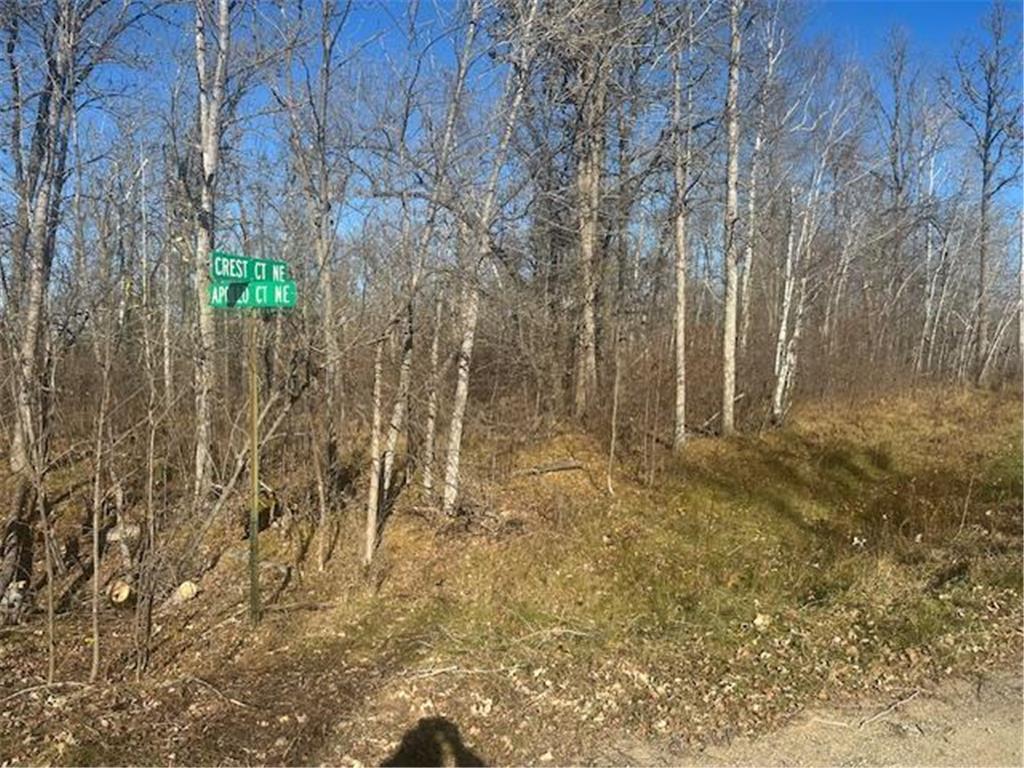 TBD Crest Court NE Turtle River Twp MN 56601 6816439 image3