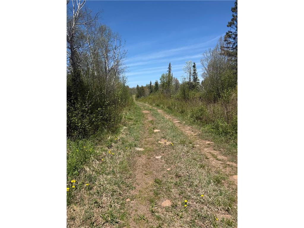 TBD Crown Creek Spur Rd Beaver Bay Twp MN 55603 7085778 image10