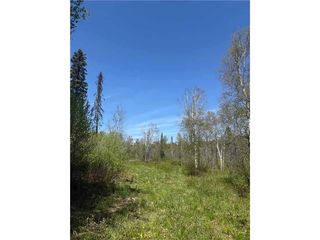 TBD Crown Creek Spur Rd Beaver Bay Twp MN 55603 7085778 image5