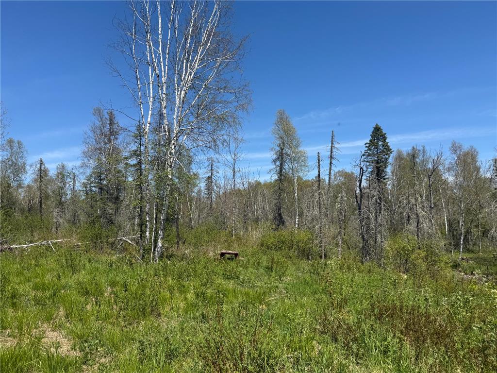 TBD Crown Creek Spur Rd Beaver Bay Twp MN 55603 7085778 image6