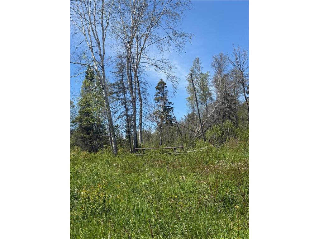 TBD Crown Creek Spur Rd Beaver Bay Twp MN 55603 7085778 image7