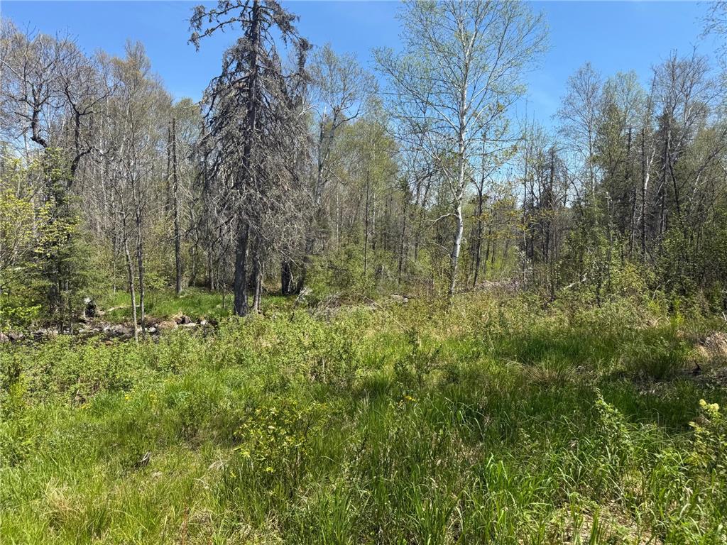 TBD Crown Creek Spur Rd Beaver Bay Twp MN 55603 7085778 image8