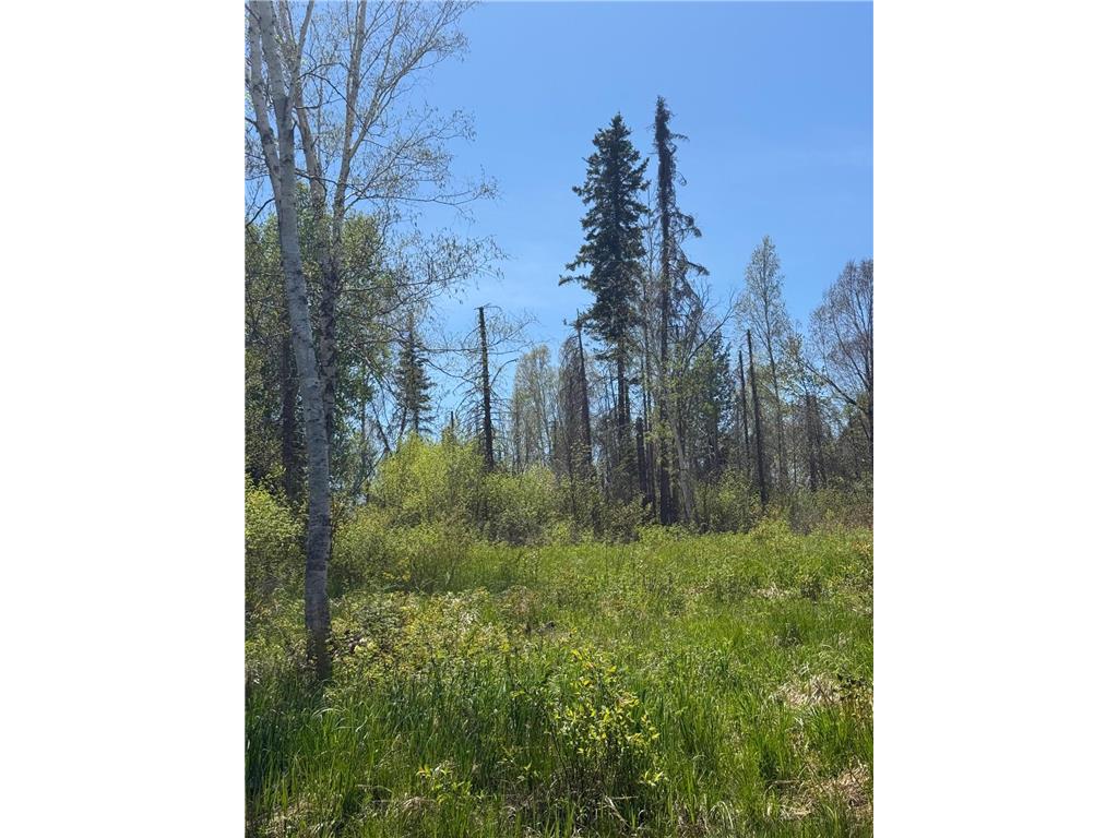 TBD Crown Creek Spur Rd Beaver Bay Twp MN 55603 7085778 image9