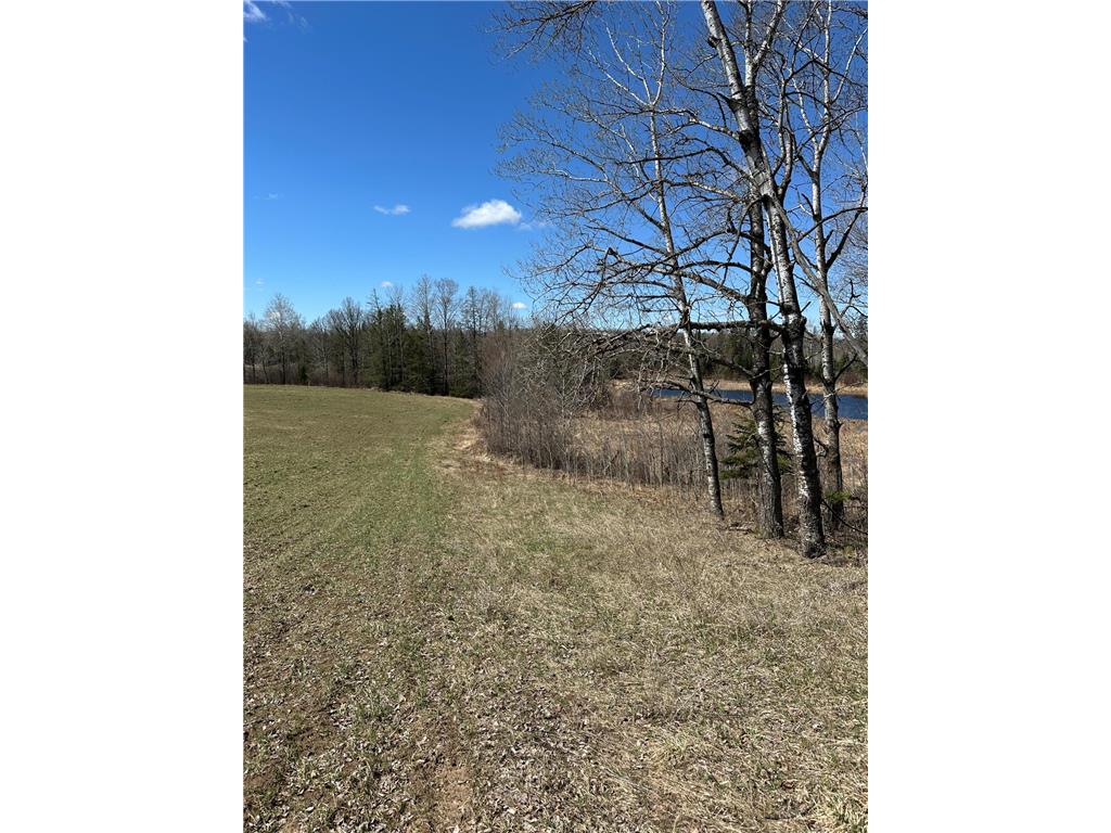 TBD Ct Rd 307 Taylor Twp MN 56630 7062623 image1