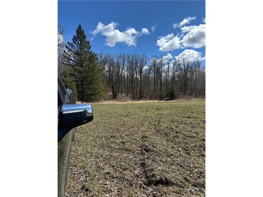 TBD Ct Rd 307 Taylor Twp MN 56630 7062623 image10