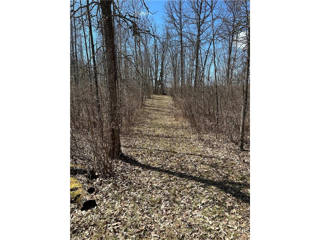 TBD Ct Rd 307 Taylor Twp MN 56630 7062623 image11