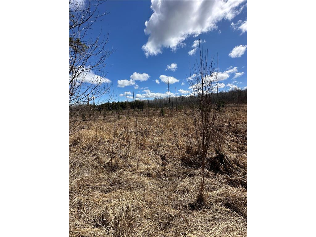 TBD Ct Rd 307 Taylor Twp MN 56630 7062623 image12