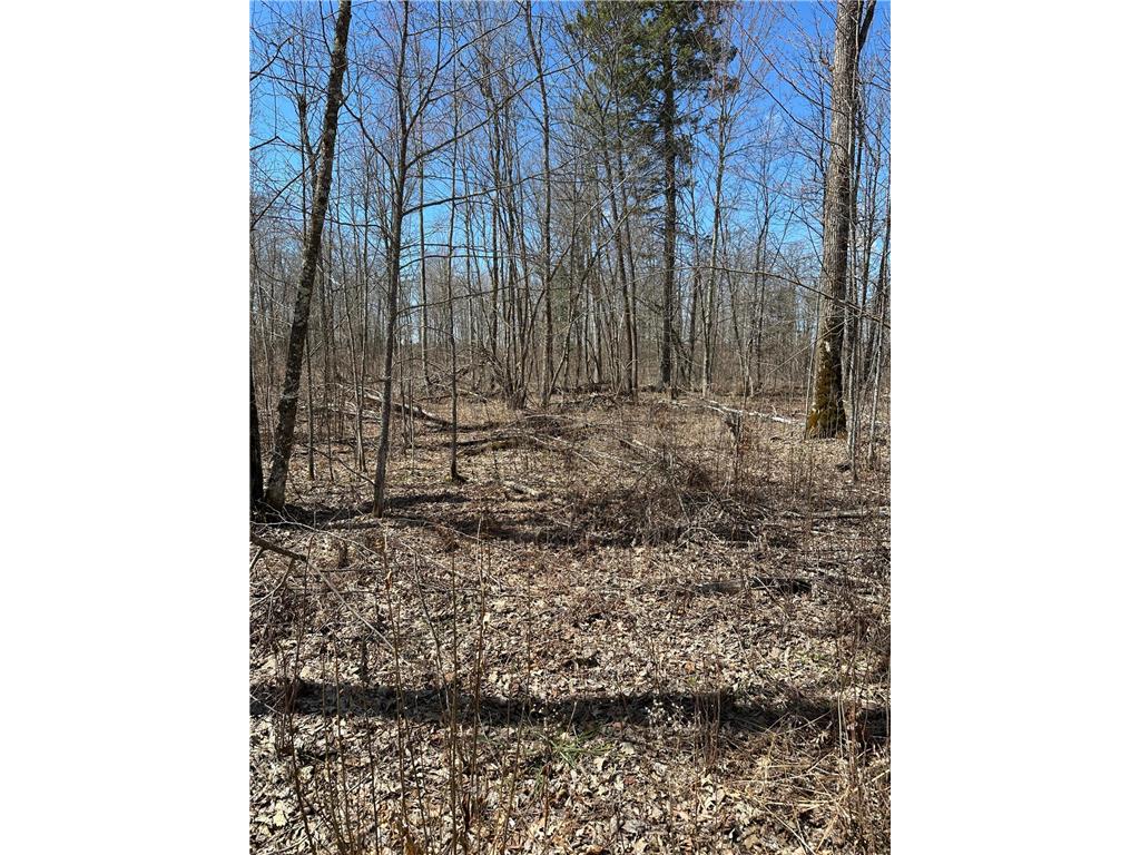 TBD Ct Rd 307 Taylor Twp MN 56630 7062623 image13