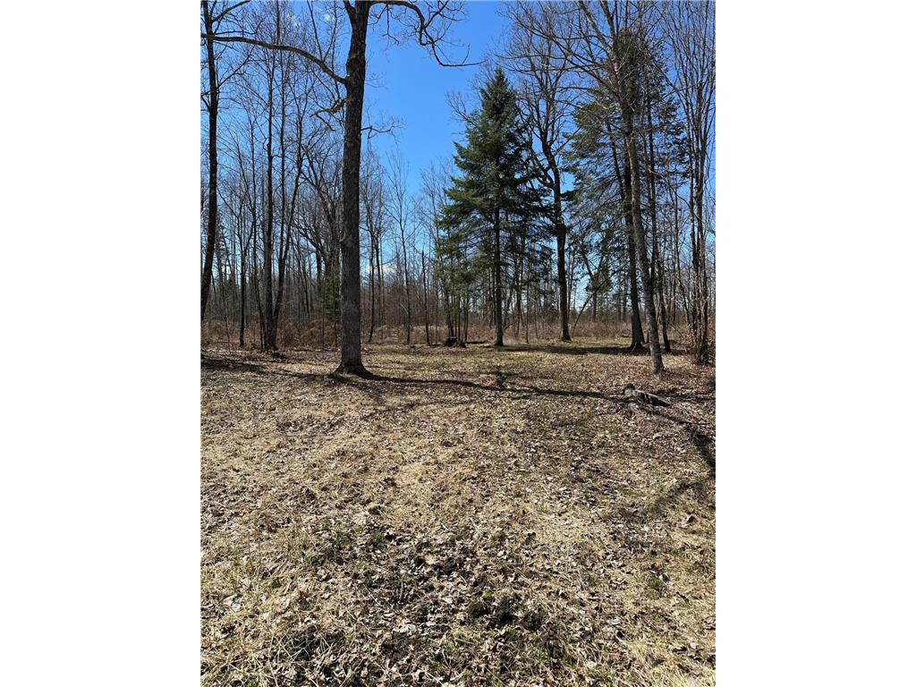 TBD Ct Rd 307 Taylor Twp MN 56630 7062623 image14