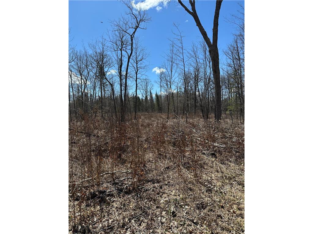 TBD Ct Rd 307 Taylor Twp MN 56630 7062623 image15