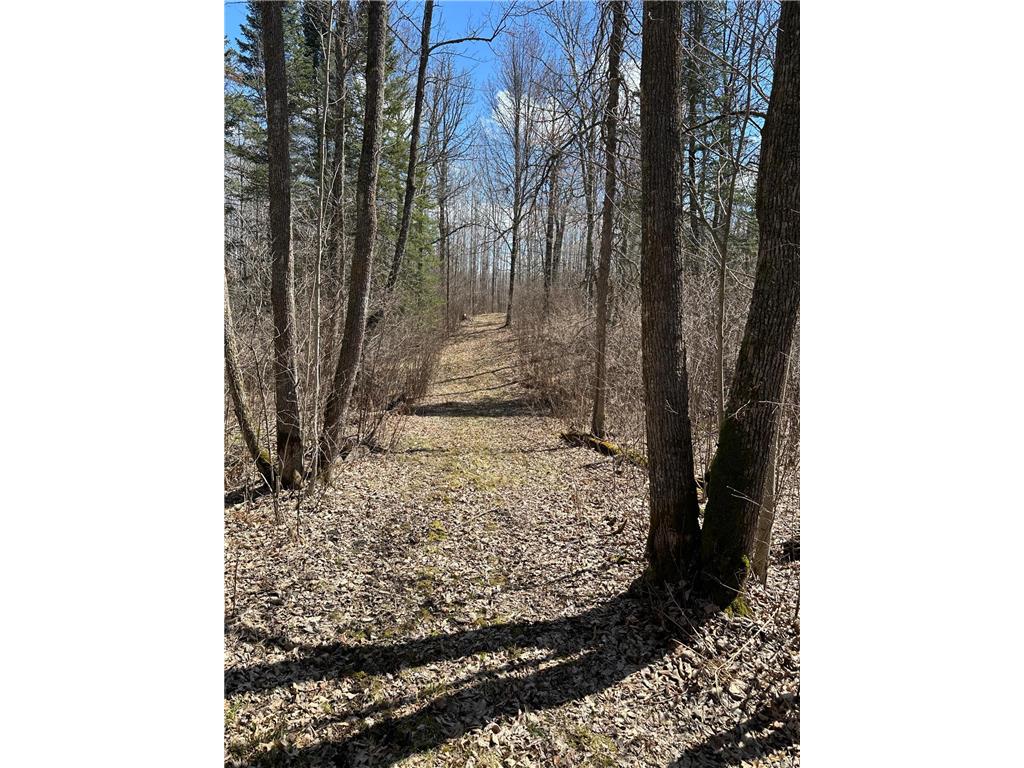 TBD Ct Rd 307 Taylor Twp MN 56630 7062623 image3