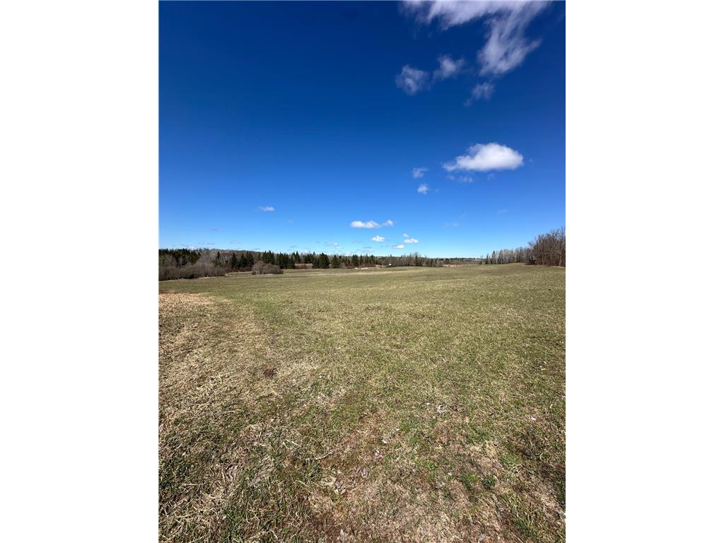 TBD Ct Rd 307 Taylor Twp MN 56630 7062623 image4
