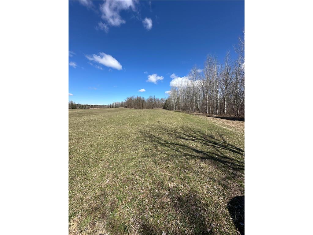 TBD Ct Rd 307 Taylor Twp MN 56630 7062623 image7