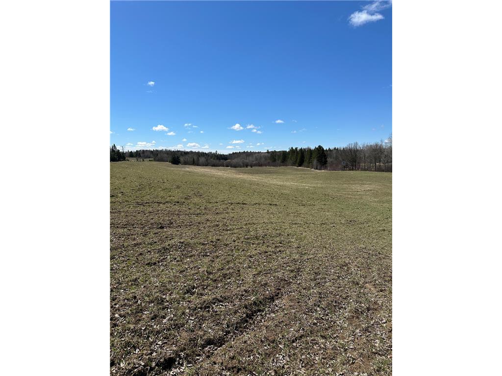 TBD Ct Rd 307 Taylor Twp MN 56630 7062623 image9