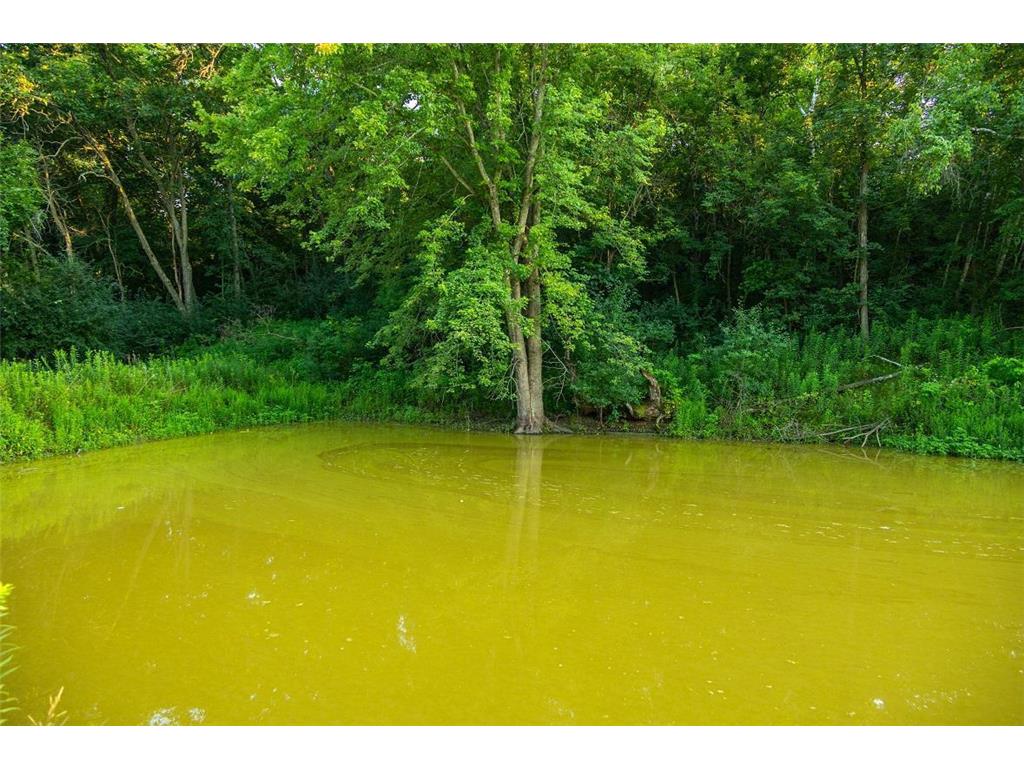 TBD Cty Road S Preston Twp WI 54616 7055024 image12